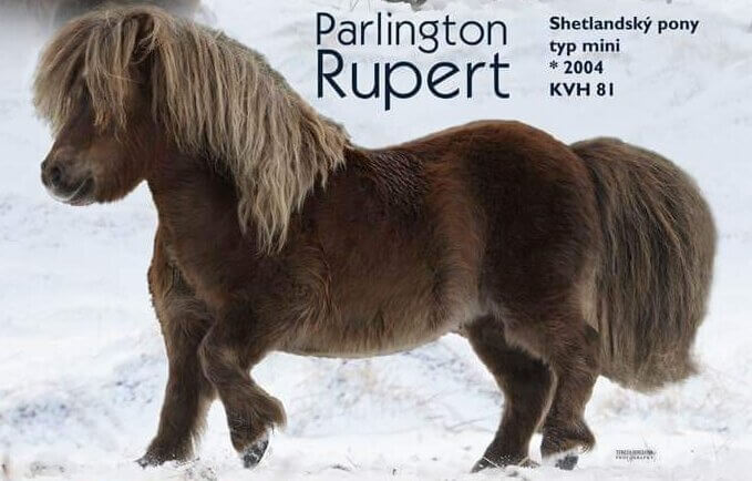 Parlington Rupert